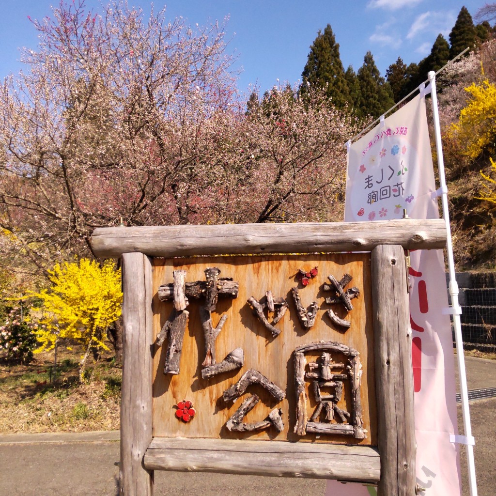 実際訪問したユーザーが直接撮影して投稿した飯野町公園花やしき公園の写真