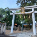 実際訪問したユーザーが直接撮影して投稿した宇治神社縣神社の写真