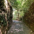 実際訪問したユーザーが直接撮影して投稿した村松寺油山寺の写真