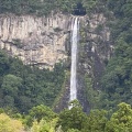 実際訪問したユーザーが直接撮影して投稿した滝 / 渓谷那智大滝の写真