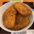 実際訪問したユーザーが直接撮影して投稿した文京洋食ヨーロッパ軒 幾久店の写真