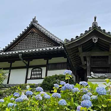 実際訪問したユーザーが直接撮影して投稿した上町寺長弓寺の写真