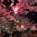 実際訪問したユーザーが直接撮影して投稿した早島公園早島公園の写真