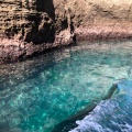 実際訪問したユーザーが直接撮影して投稿した仁科自然名所堂ヶ島(遊覧船乗り場)の写真