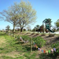 実際訪問したユーザーが直接撮影して投稿した荒井植物園 / 樹木園せんだい農業園芸センターの写真