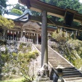 実際訪問したユーザーが直接撮影して投稿した玉置川神社玉置神社の写真