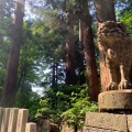 実際訪問したユーザーが直接撮影して投稿した大山神社大神山神社 奥宮の写真