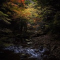 実際訪問したユーザーが直接撮影して投稿した赤目町長坂滝 / 渓谷赤目四十八滝の写真