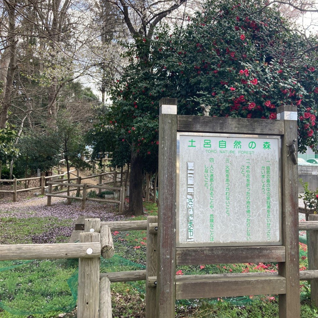 実際訪問したユーザーが直接撮影して投稿した土呂町公園土呂自然の森の写真