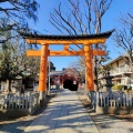 実際訪問したユーザーが直接撮影して投稿した旗の台神社旗岡八幡神社の写真