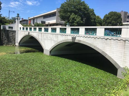 実際訪問したユーザーが直接撮影して投稿した北の丸公園橋竹橋の写真