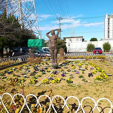 実際訪問したユーザーが直接撮影して投稿した新町公園八潮北公園の写真