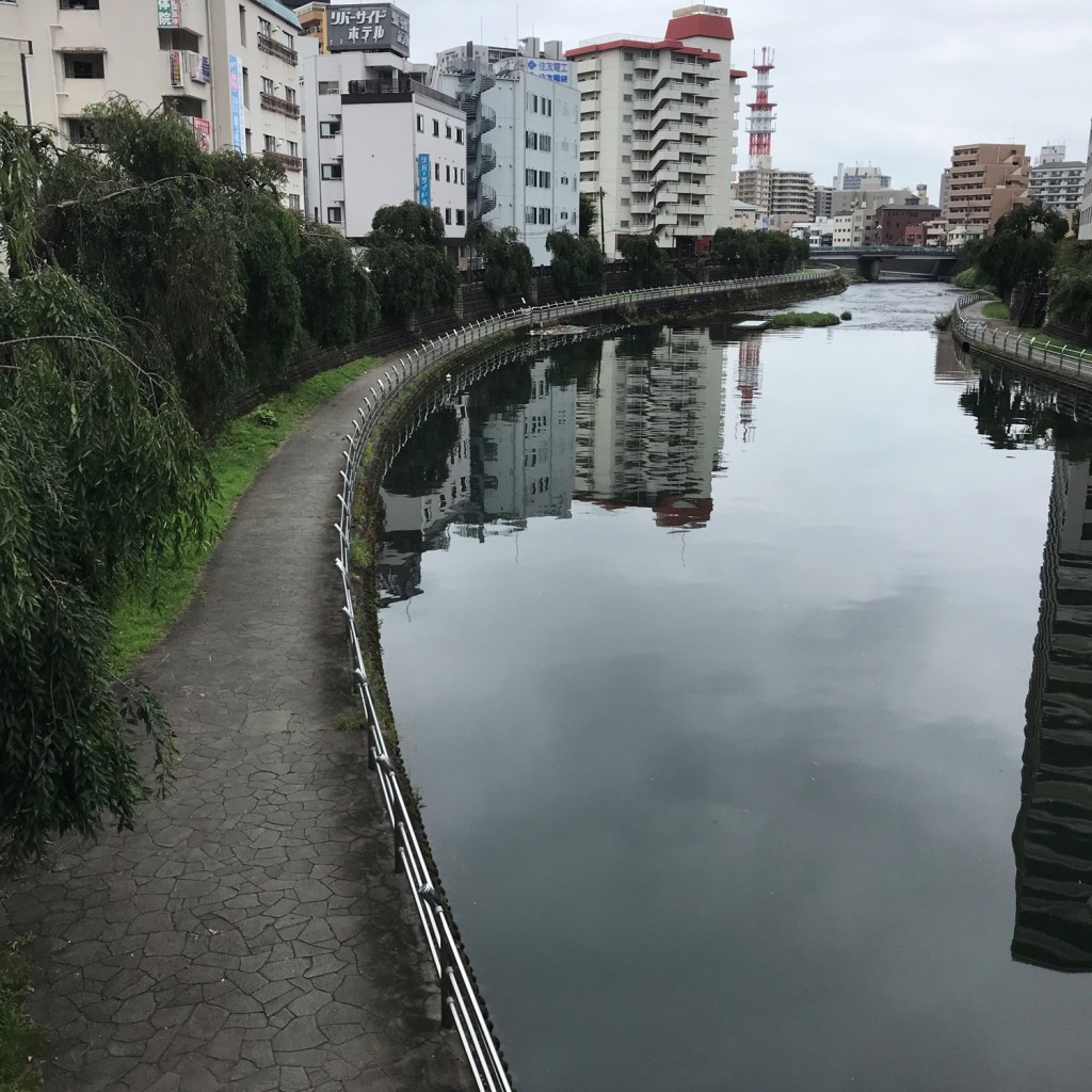 実際訪問したユーザーが直接撮影して投稿した駅前通り散策路田川プロムナード(遊歩道)の写真