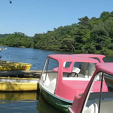 実際訪問したユーザーが直接撮影して投稿した高山町公園くろんど池自然公園の写真