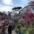 実際訪問したユーザーが直接撮影して投稿した酒折植物園 / 樹木園不老園の写真