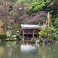 実際訪問したユーザーが直接撮影して投稿した兼六町庭園兼六園の写真