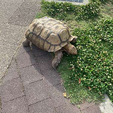 実際訪問したユーザーが直接撮影して投稿した三吉公園竹取公園の写真