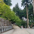 実際訪問したユーザーが直接撮影して投稿した池田町白地寺雲辺寺の写真