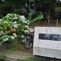 実際訪問したユーザーが直接撮影して投稿した高円寺北公園たかはら公園の写真