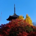 実際訪問したユーザーが直接撮影して投稿した浄土寺真如町寺真正極楽寺三重塔の写真