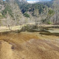 実際訪問したユーザーが直接撮影して投稿した安曇湖沼 / 池田代池の写真