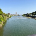 実際訪問したユーザーが直接撮影して投稿した桜ケ岡公園河川広瀬川の写真