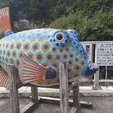 実際訪問したユーザーが直接撮影して投稿した吉尾公園勝浦海中公園の写真