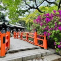 実際訪問したユーザーが直接撮影して投稿した院内神社千葉神社の写真