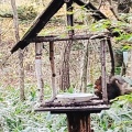 実際訪問したユーザーが直接撮影して投稿した長倉カフェNONE cafe 軽井沢の写真