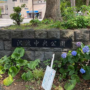 実際訪問したユーザーが直接撮影して投稿した沢渡公園沢渡中央公園の写真