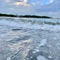 実際訪問したユーザーが直接撮影して投稿した海の公園広場海の公園 なぎさ広場の写真