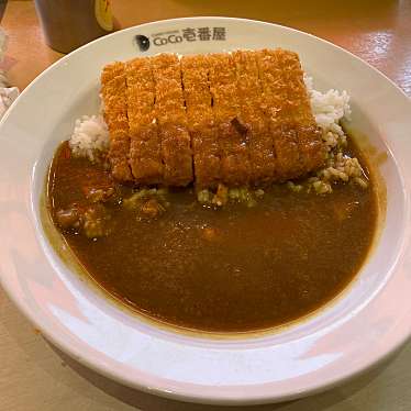 実際訪問したユーザーが直接撮影して投稿した金城ふ頭カレーカレーハウスCoCo壱番屋 Maker's Pier店の写真