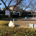 実際訪問したユーザーが直接撮影して投稿した桜台公園桜台一号の写真