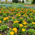 実際訪問したユーザーが直接撮影して投稿した荒井植物園 / 樹木園せんだい農業園芸センターの写真