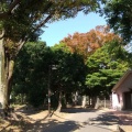 実際訪問したユーザーが直接撮影して投稿した新井公園平和の森公園の写真