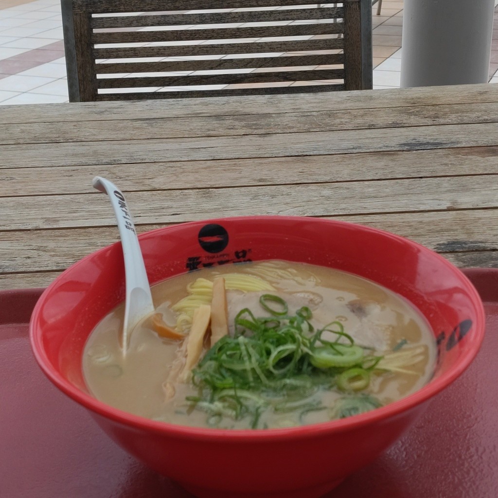 ユーザーが投稿したラーメン大こってりの写真 - 実際訪問したユーザーが直接撮影して投稿したりんくう南浜ラーメン専門店天下一品 イオンりんくう泉南店の写真