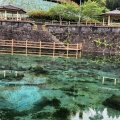 実際訪問したユーザーが直接撮影して投稿した木場自然名所霧島山麓丸池湧水の写真