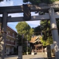 実際訪問したユーザーが直接撮影して投稿した木月神社住吉神社の写真