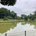 実際訪問したユーザーが直接撮影して投稿した善福寺公園善福寺公園の写真