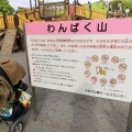 実際訪問したユーザーが直接撮影して投稿した関野町公園小金井公園わんぱく山の写真