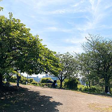 実際訪問したユーザーが直接撮影して投稿した青葉台公園西郷山公園の写真