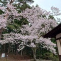 実際訪問したユーザーが直接撮影して投稿した見祢山神社土津神社の写真