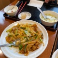 スタミナ丼 - 実際訪問したユーザーが直接撮影して投稿した鮫島中華料理茉莉花 イオンタウン富士南店の写真のメニュー情報