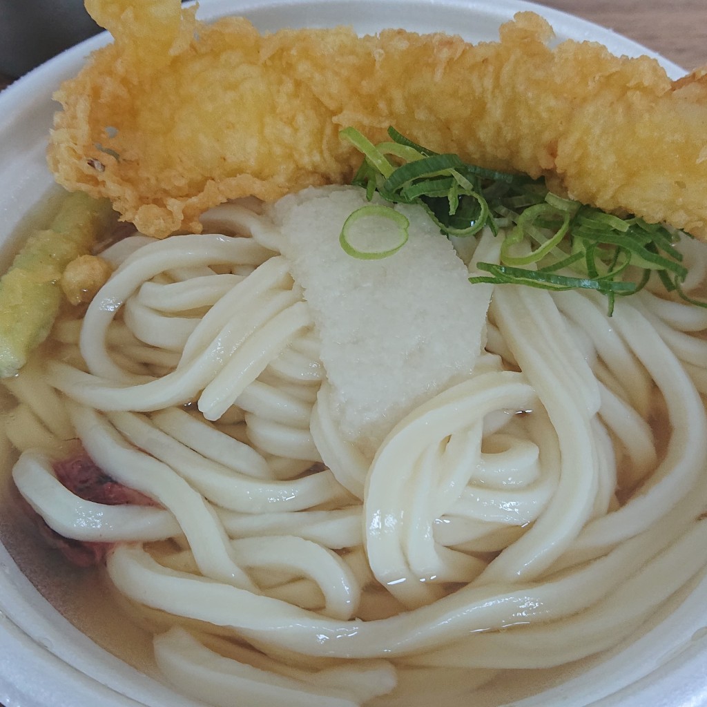 ユーザーが投稿した梅おろし冷やかけの写真 - 実際訪問したユーザーが直接撮影して投稿した伏古一条うどん丸亀製麺 札幌店の写真