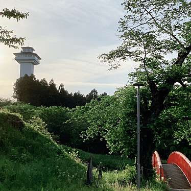 実際訪問したユーザーが直接撮影して投稿した喜連川公園お丸山公園の写真