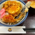 カラフル天丼 - 実際訪問したユーザーが直接撮影して投稿した新小岩天丼天丼てんや 新小岩店の写真のメニュー情報