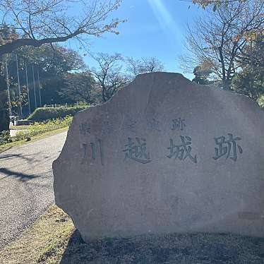 実際訪問したユーザーが直接撮影して投稿した郭町歴史 / 遺跡川越城本丸門跡の写真