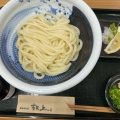 醤油うどん 小 いりこ - 実際訪問したユーザーが直接撮影して投稿した仁尾町仁尾うどん讃岐醤油うどん 青天上の写真のメニュー情報