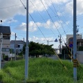 実際訪問したユーザーが直接撮影して投稿した鹿山公園鹿山街園の写真