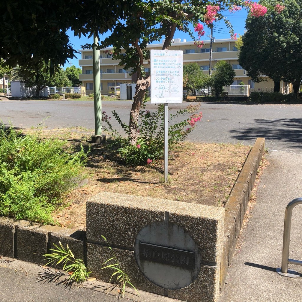 ラムダッシュセイバーさんが投稿した橋戸公園のお店橋戸原公園/ハシドハラコウエンの写真